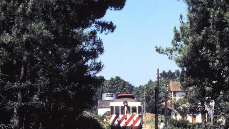 Linha do vouga station house